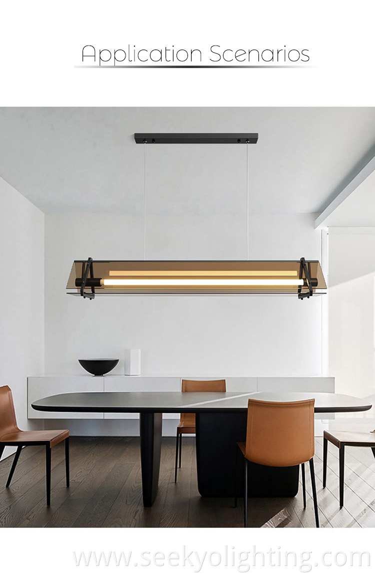 Post-modern Simple Ceiling Pendant Light